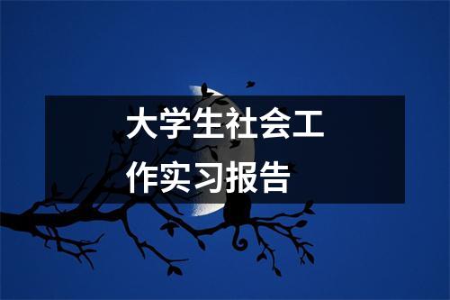 大学生社会工作实习报告