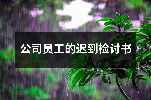 公司员工的迟到检讨书