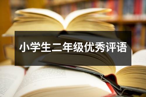 小学生二年级优秀评语