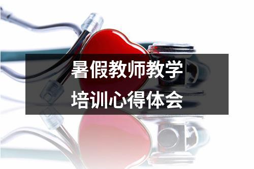 暑假教师教学培训心得体会