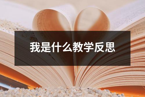 我是什么教学反思