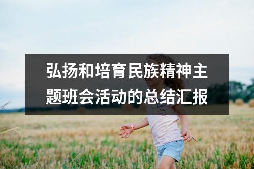 弘扬和培育民族精神主题班会活动的总结汇报