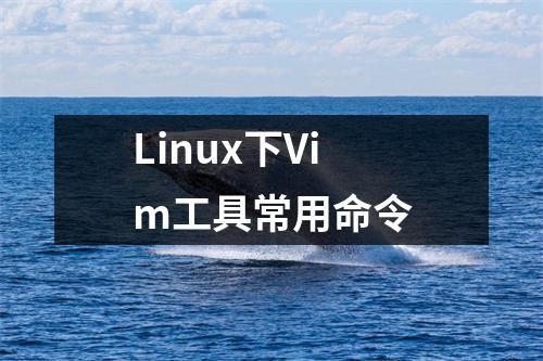 Linux下Vim工具常用命令