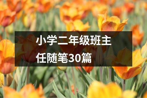 小学二年级班主任随笔30篇