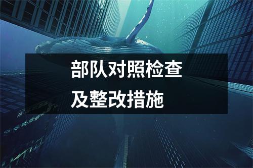 部队对照检查及整改措施