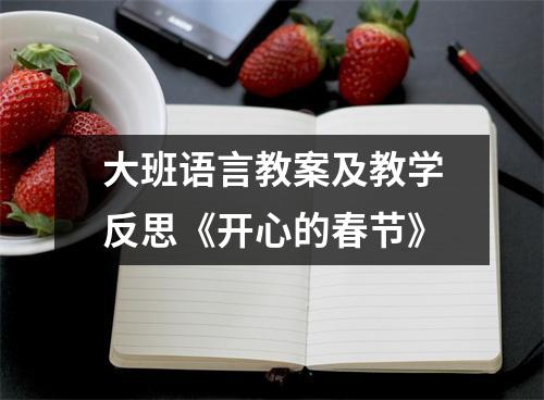 大班语言教案及教学反思《开心的春节》