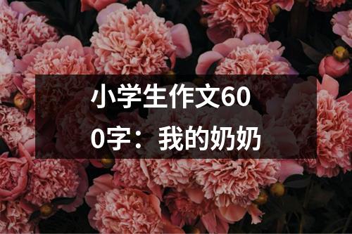 小学生作文600字：我的奶奶