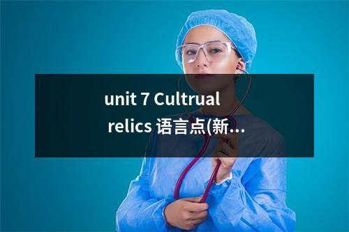 unit 7 Cultrual relics 语言点(新课标版高一英语教案教学设计)