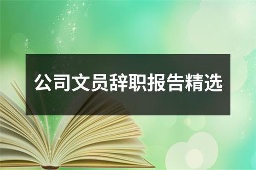 公司文员辞职报告精选