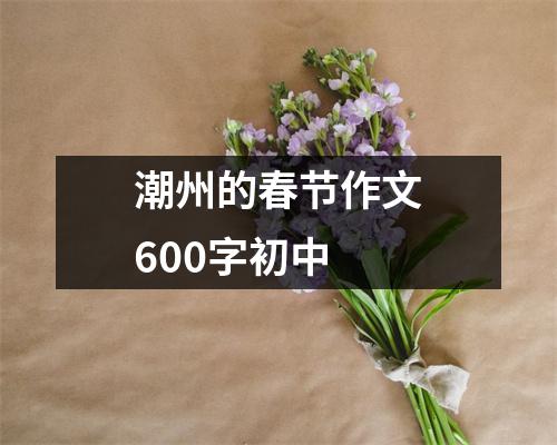 潮州的春节作文600字初中