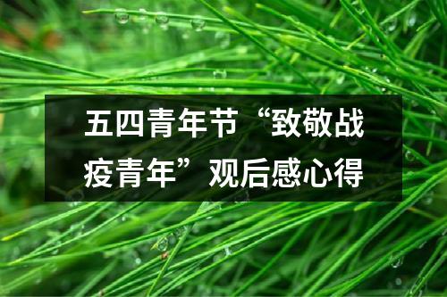 五四青年节“致敬战疫青年”观后感心得