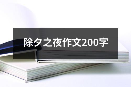 除夕之夜作文200字