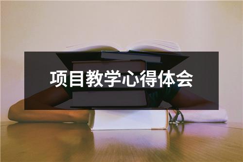 项目教学心得体会