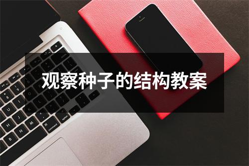 观察种子的结构教案