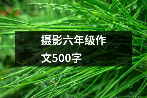 摄影六年级作文500字