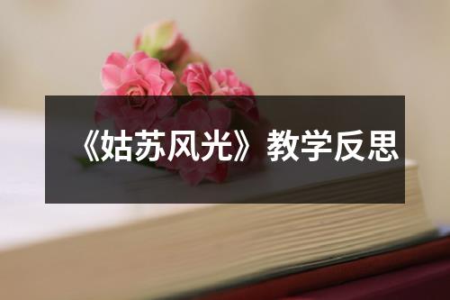 《姑苏风光》教学反思