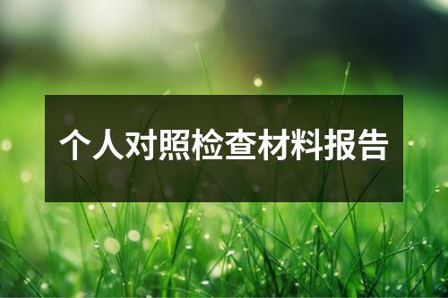 个人对照检查材料报告