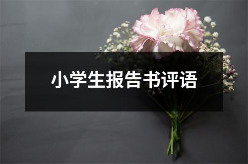 小学生报告书评语