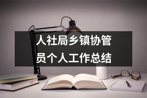 人社局乡镇协管员个人工作总结