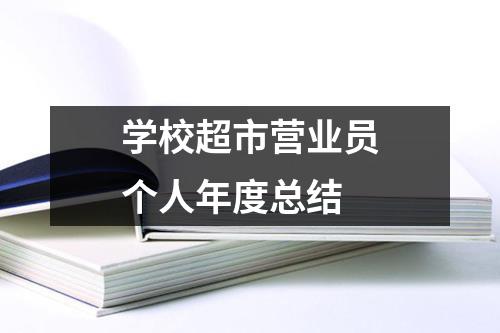 学校超市营业员个人年度总结