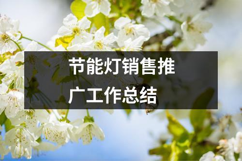 节能灯销售推广工作总结