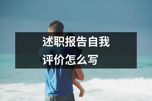 述职报告自我评价怎么写