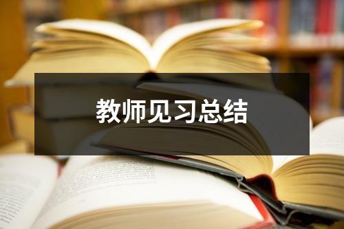 教师见习总结