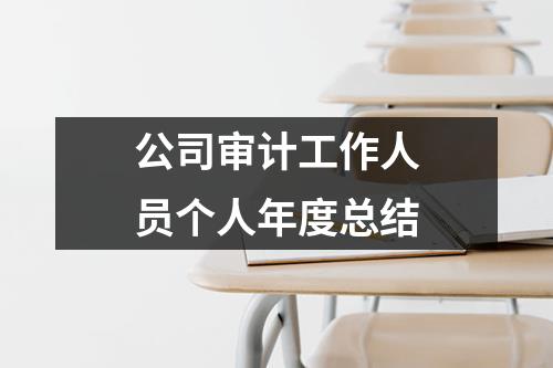 公司审计工作人员个人年度总结