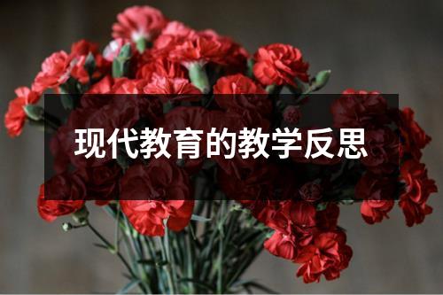 现代教育的教学反思