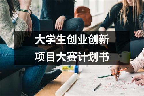 大学生创业创新项目大赛计划书