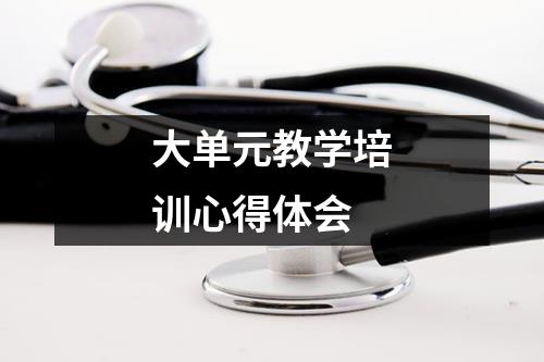 大单元教学培训心得体会