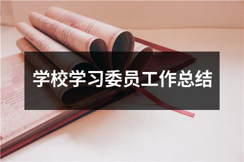 学校学习委员工作总结