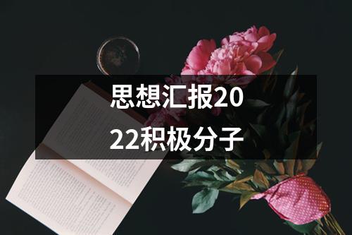 思想汇报2022积极分子