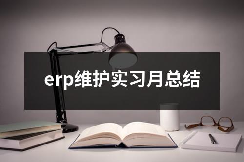 erp维护实习月总结