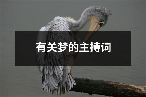 有关梦的主持词