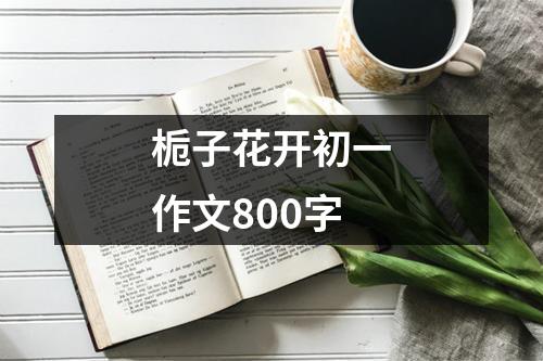 栀子花开初一作文800字