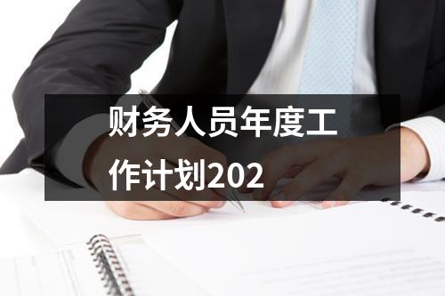 财务人员年度工作计划202