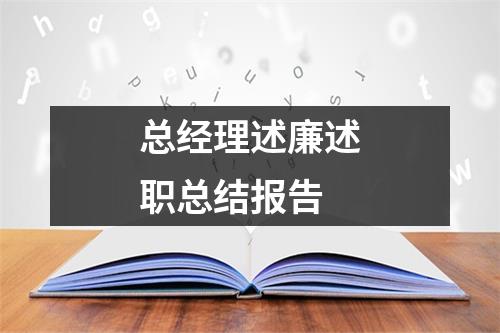 总经理述廉述职总结报告