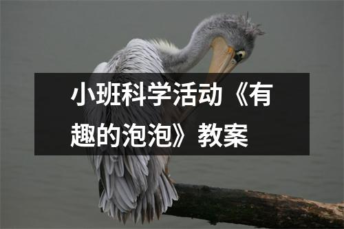 小班科学活动《有趣的泡泡》教案