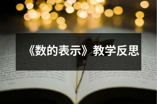 《数的表示》教学反思