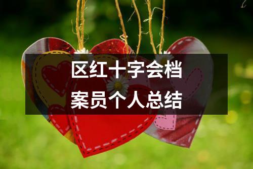 区红十字会档案员个人总结