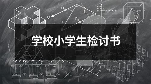 学校小学生检讨书