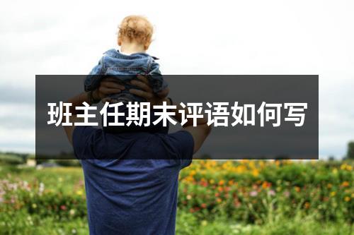 班主任期末评语如何写