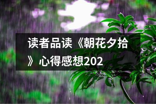 读者品读《朝花夕拾》心得感想202