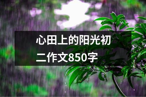 心田上的阳光初二作文850字