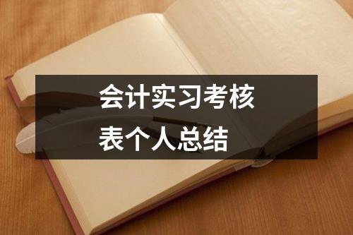 会计实习考核表个人总结