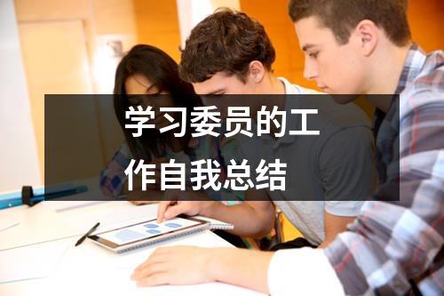 学习委员的工作自我总结