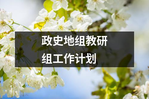 政史地组教研组工作计划