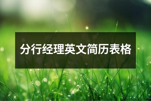 分行经理英文简历表格