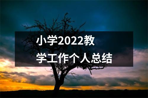 小学2022教学工作个人总结